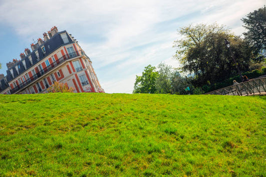 What Is An Optical Illusion?