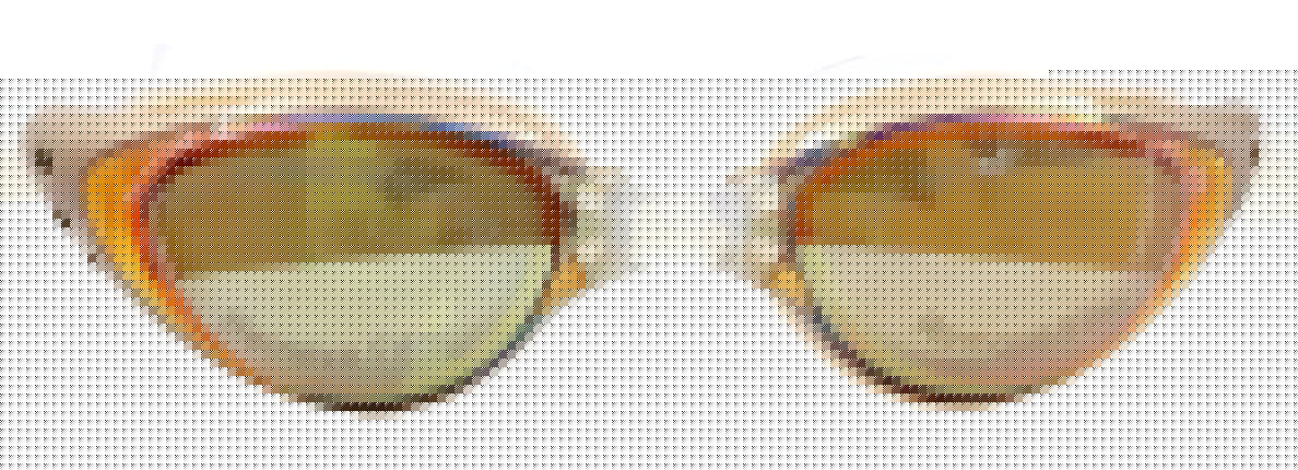 Swim Goggle HP-6100