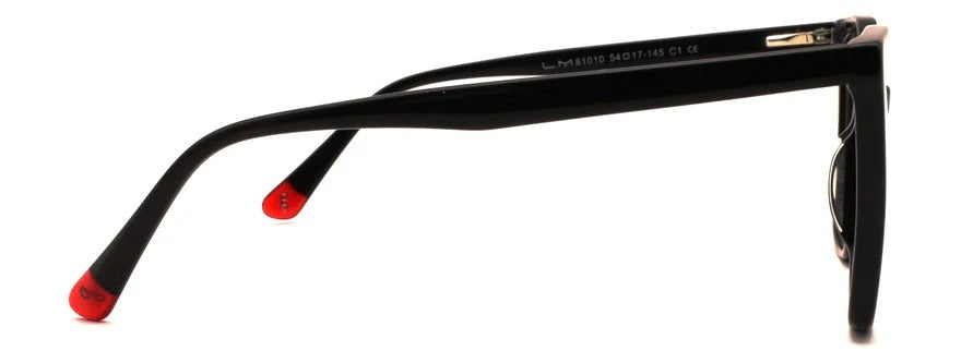 Optica 81010