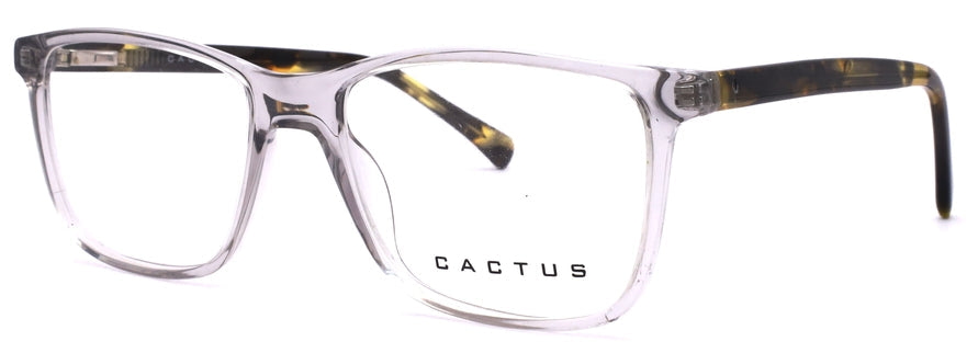 Cactus 883205