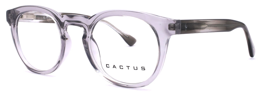 Cactus 883214