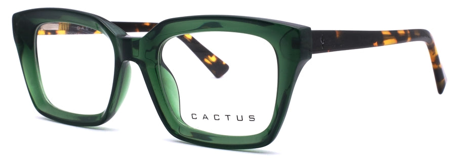 Cactus 884705