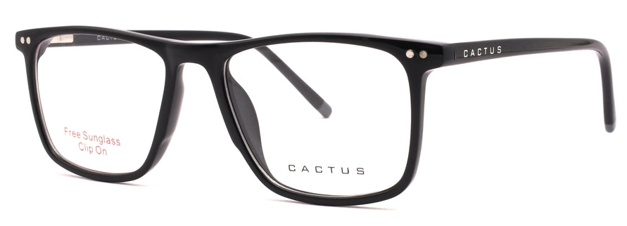 Cactus 98010