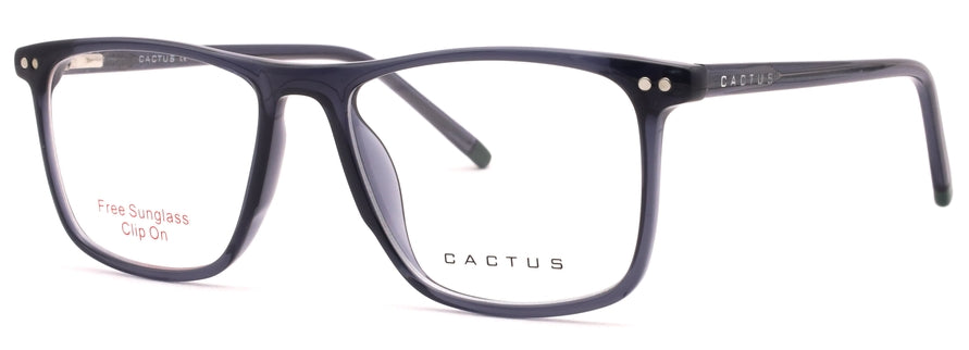 Cactus 98010