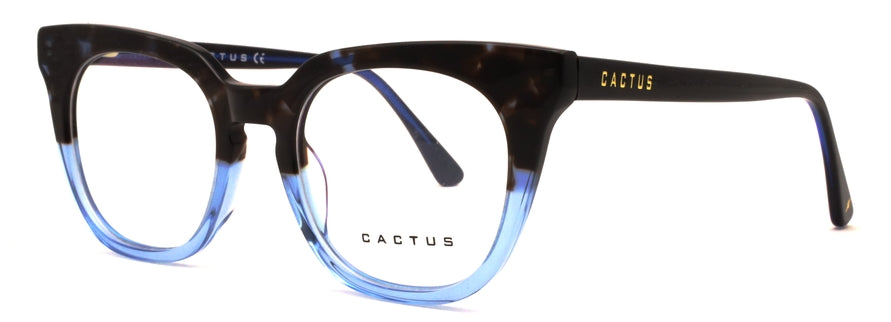 Cactus A2602