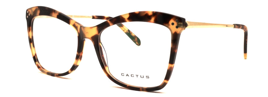 Cactus Archetype