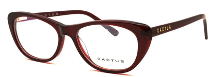 Cactus Canvas