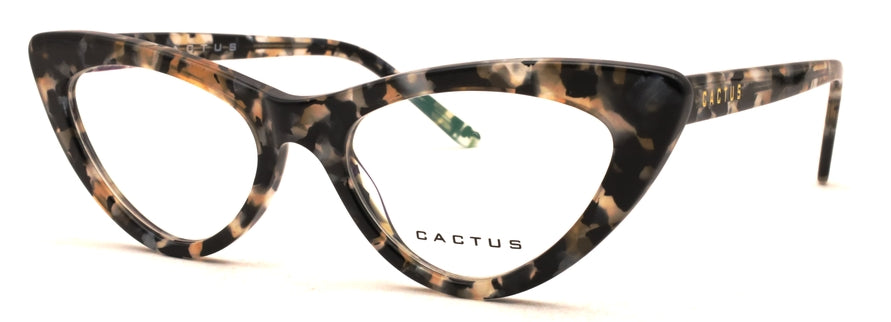 Cactus Insight