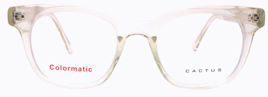 Cactus 52611 — Front