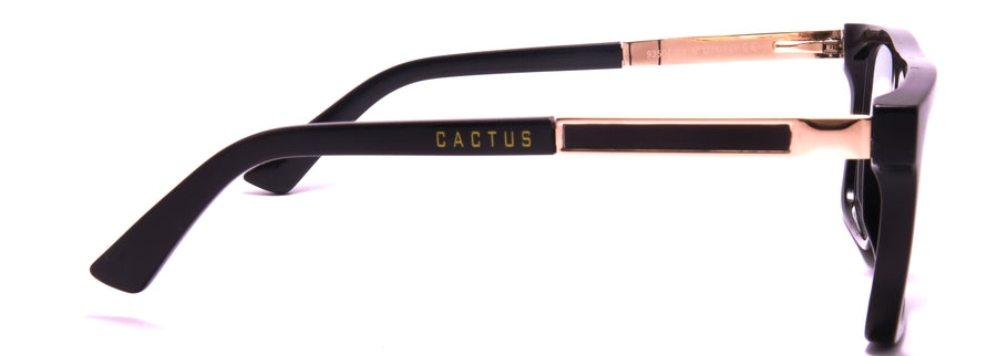 Cactus 93502