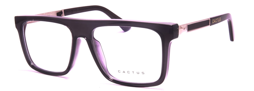 Cactus 93502