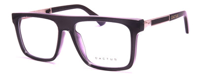 Cactus 93502