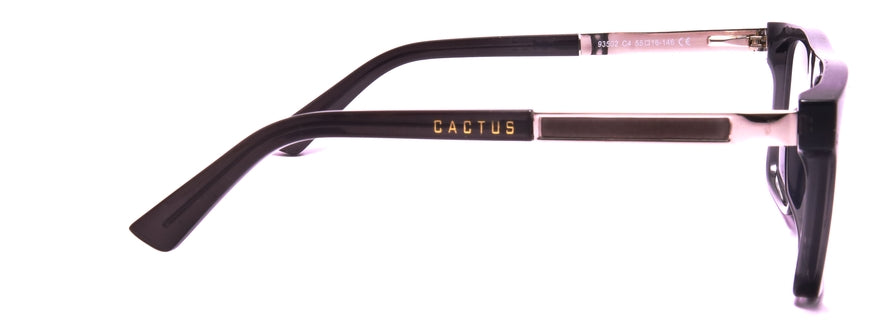 Cactus 93502