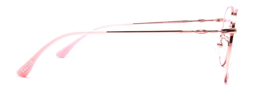 Cactus 973