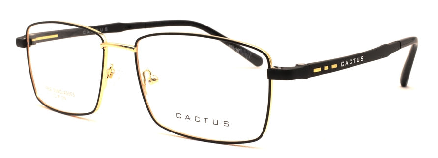 Cactus Journeyman