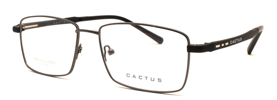 Cactus Journeyman