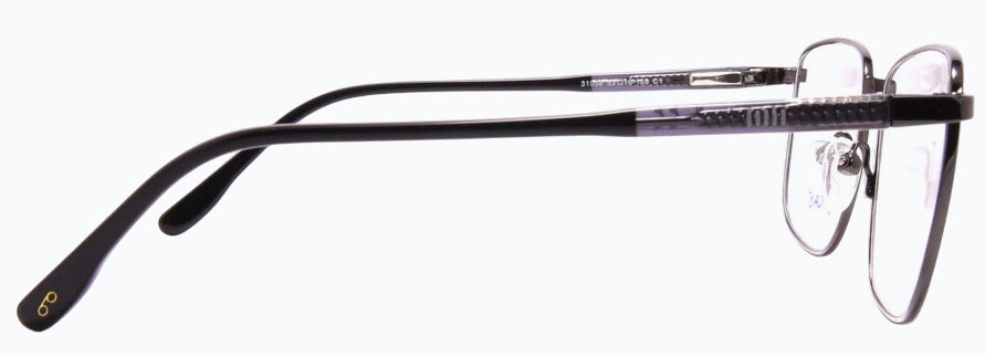 Optica 31058