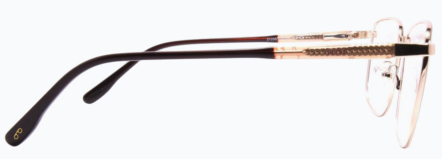 Optica 31058