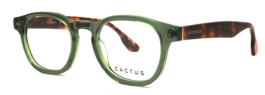 Cactus Radiant