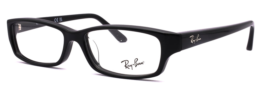 Rayban RX5272