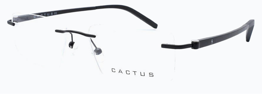 Cactus Selrls 1