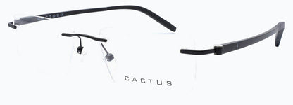 Cactus Selrls 1