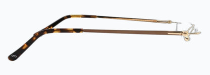 Optica ZY01013