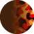 Brown Havana